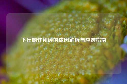 下丘脑性闭经的成因解析与应对指南