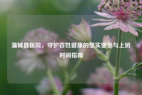 蒲城县医院，守护百姓健康的坚实堡垒与上班时间指南