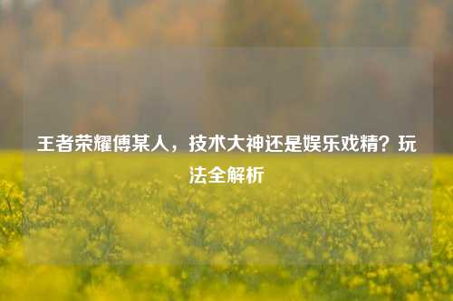 王者荣耀傅某人，技术大神还是娱乐戏精？玩法全解析
