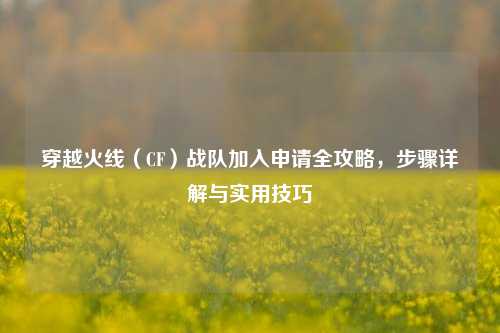 穿越火线（CF）战队加入申请全攻略，步骤详解与实用技巧