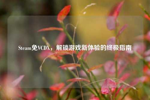Steam免VCDX，解锁游戏新体验的终极指南